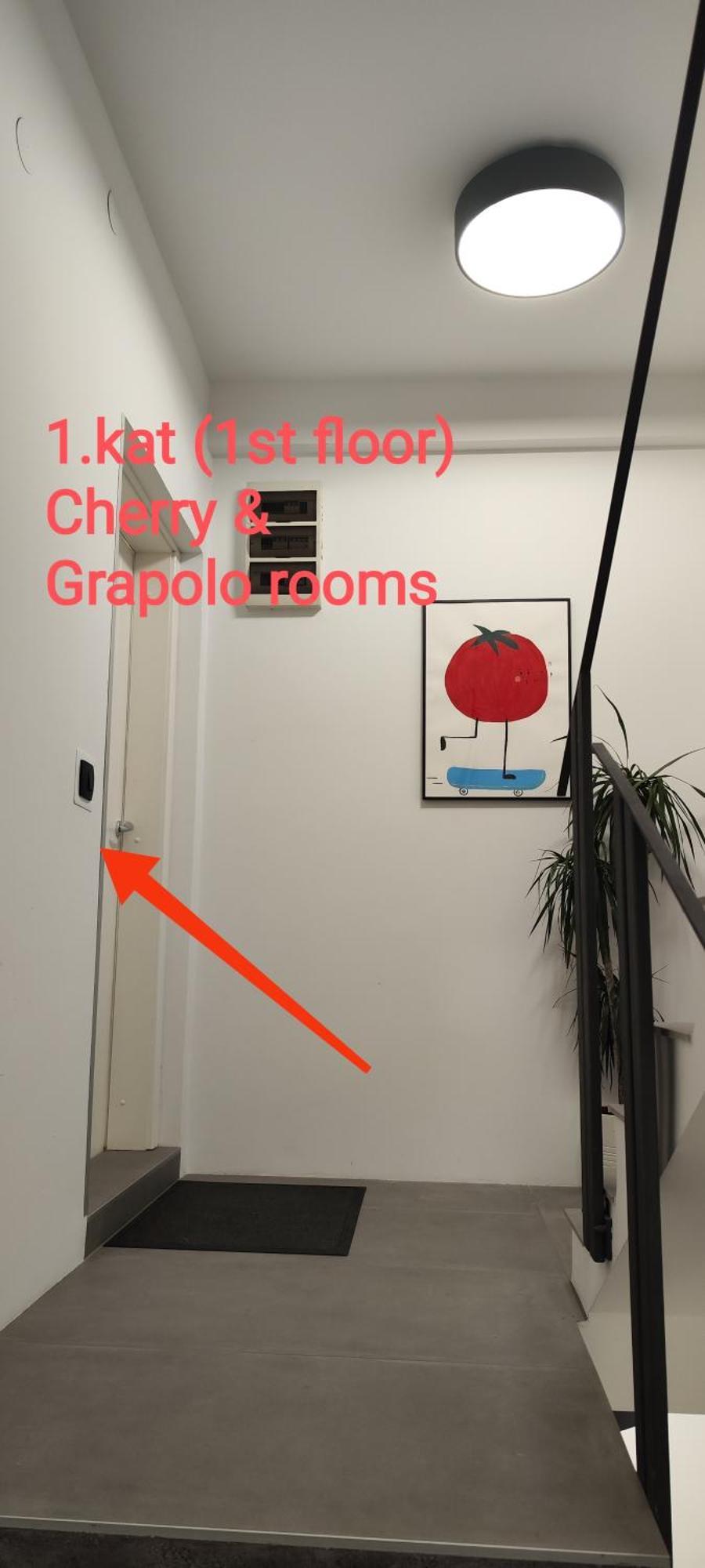 Pomodoro Rooms Zagreb Bagian luar foto